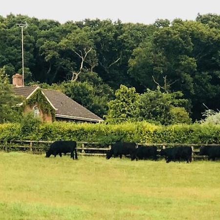 Yellowham Farm, Dorchester Higher Bockhampton エクステリア 写真