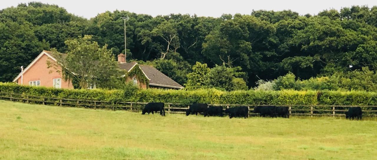Yellowham Farm, Dorchester Higher Bockhampton エクステリア 写真