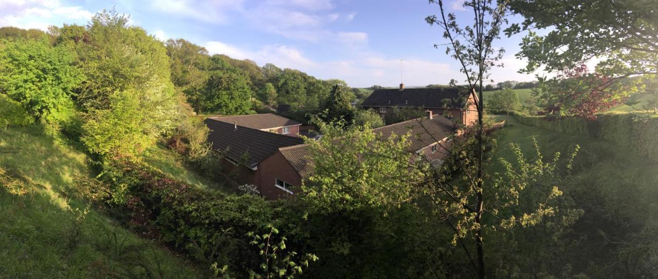 Yellowham Farm, Dorchester Higher Bockhampton エクステリア 写真