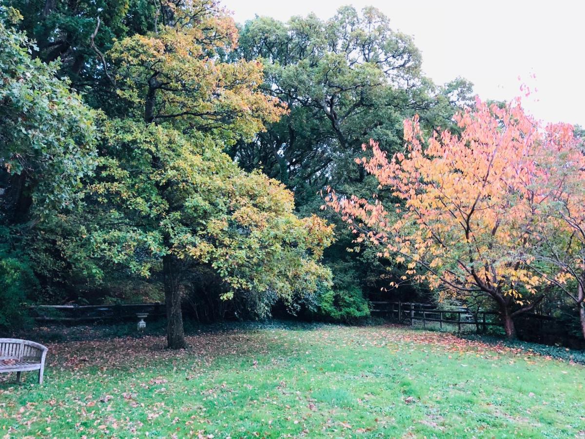 Yellowham Farm, Dorchester Higher Bockhampton エクステリア 写真