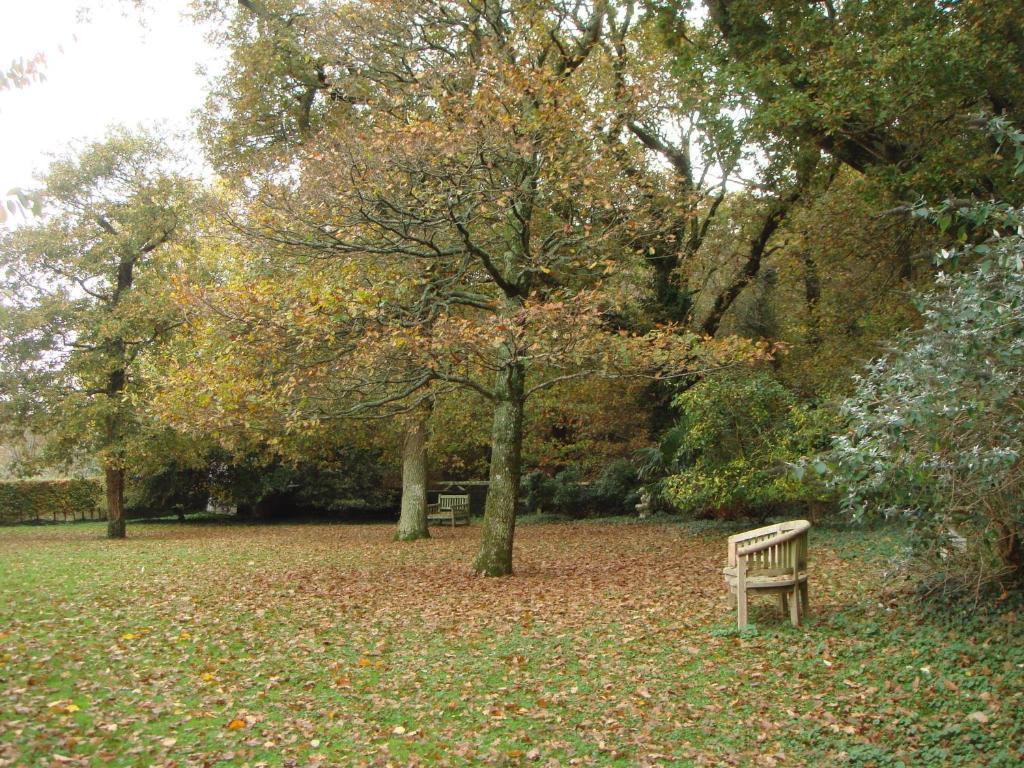 Yellowham Farm, Dorchester Higher Bockhampton エクステリア 写真
