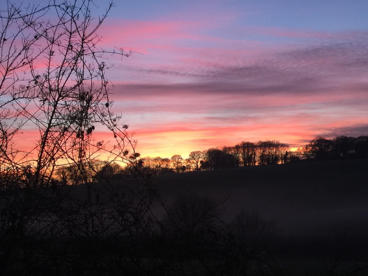 Yellowham Farm, Dorchester Higher Bockhampton エクステリア 写真